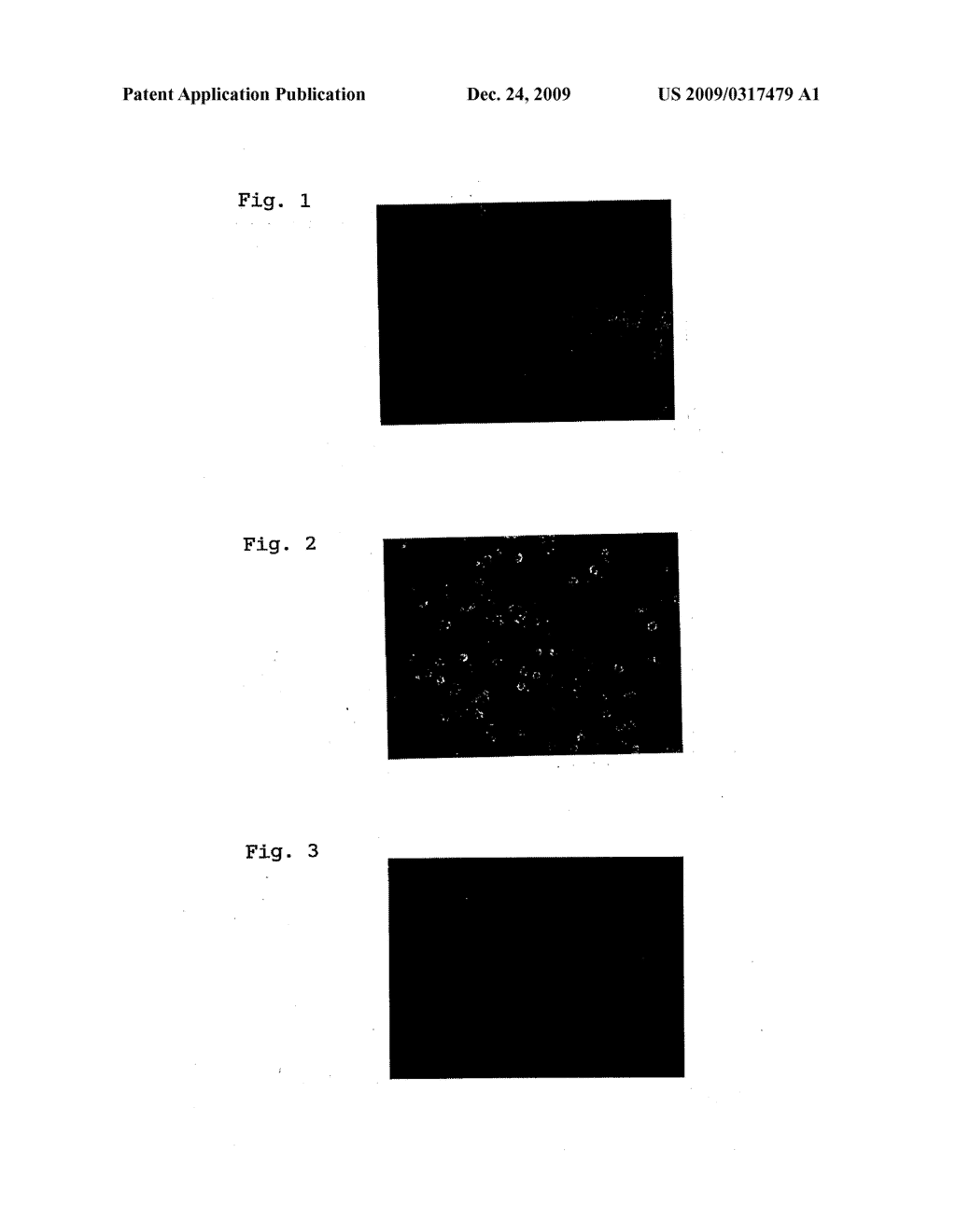 NANOPARTICLES CONTAINING WATER-SOLUBLE NON-PEPTIDE LOW-MOLECULAR WEIGHT DRUG - diagram, schematic, and image 02