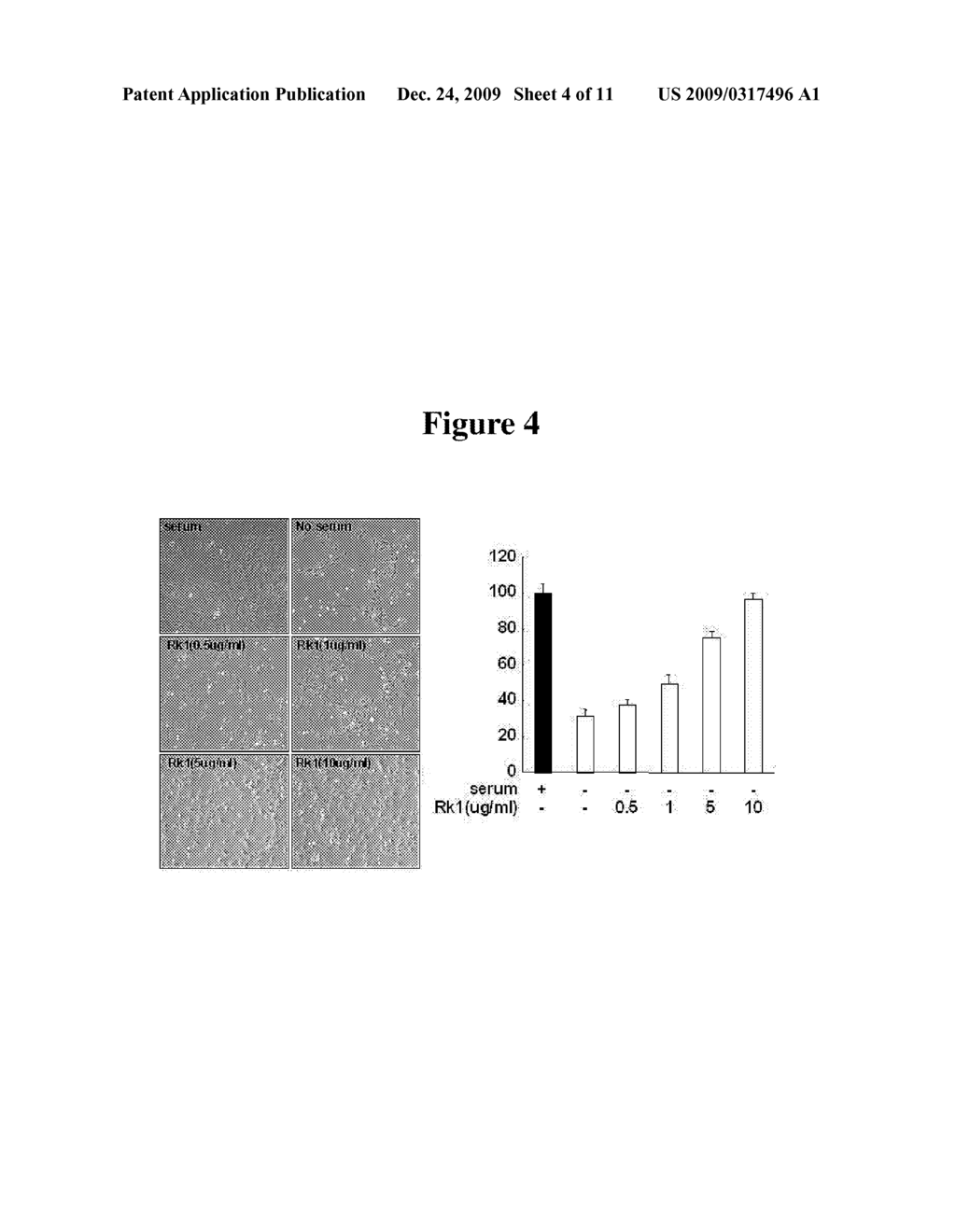 Method for Preventing and Treating the Disease Caused by Vascular Damage and the Use Thereof - diagram, schematic, and image 05