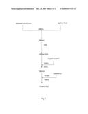 SOLID ENZYME FORMULATIONS AND PROCESS FOR THEIR PREPARATION diagram and image