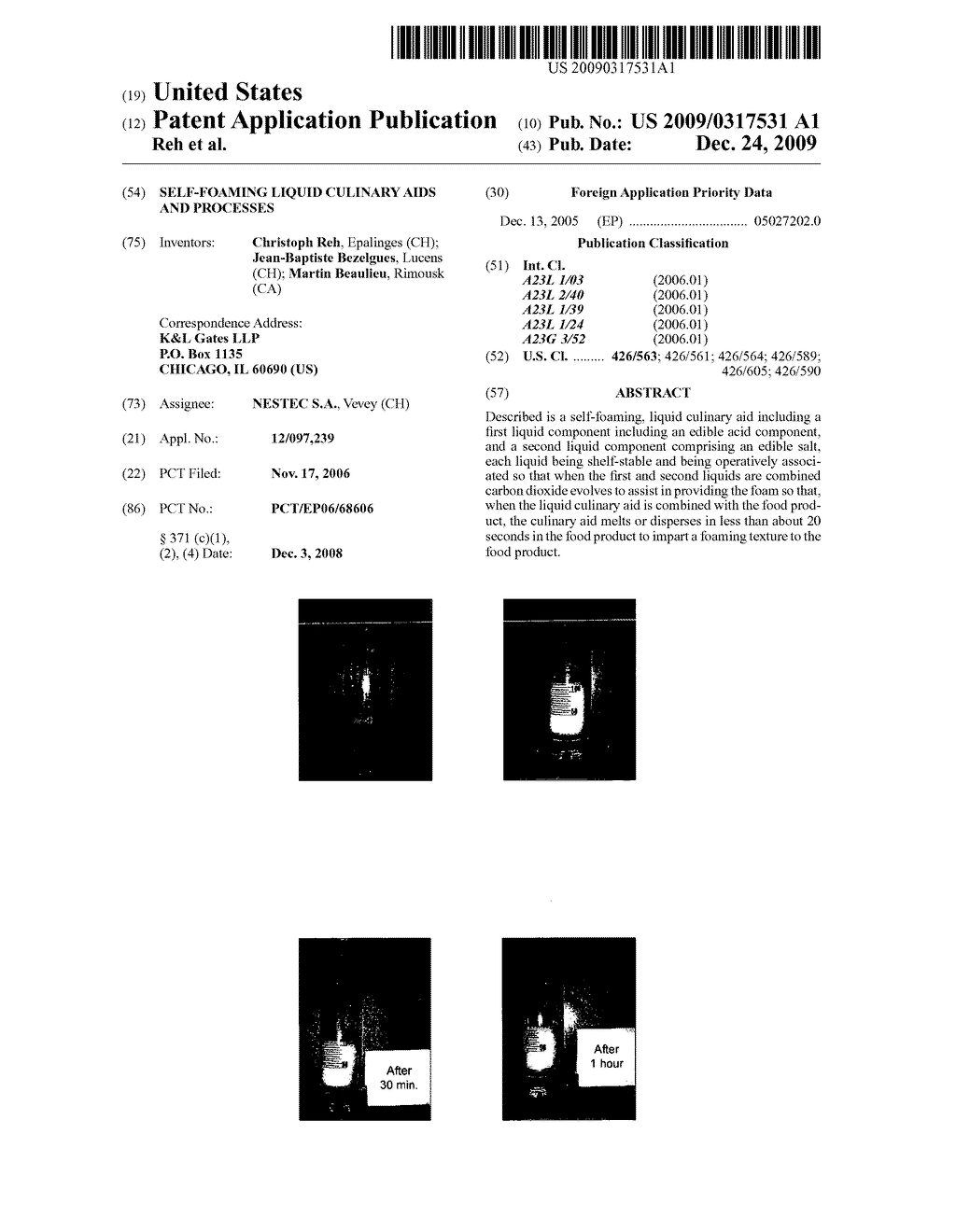 SELF-FOAMING LIQUID CULINARY AIDS AND PROCESSES - diagram, schematic, and image 01