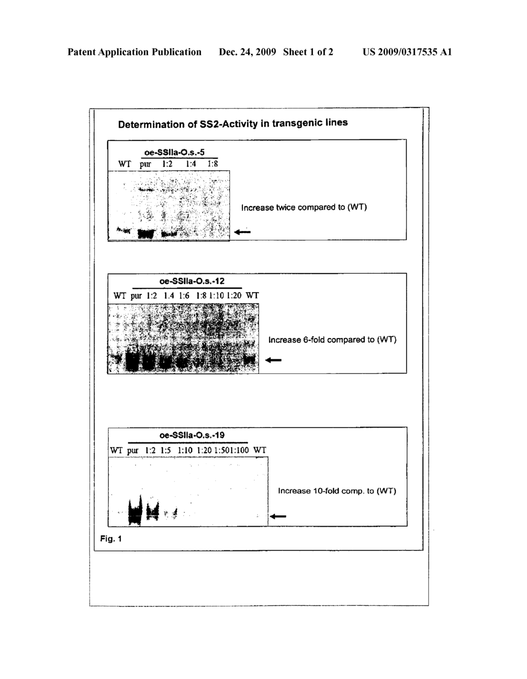 GENETICALLY MODIFIED PLANTS WHICH SYNTHESIZE A LOW AMYLOSE STARCH WITH INCREASED SWELLING POWER - diagram, schematic, and image 02