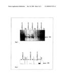 GENETICALLY MODIFIED PLANTS WHICH SYNTHESIZE A LOW AMYLOSE STARCH WITH INCREASED SWELLING POWER diagram and image