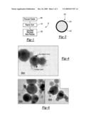 Process To Make Core-Shell Structured Nanoparticles diagram and image