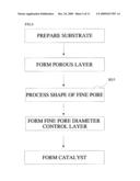 NANOSTRUCTURE AND METHOD FOR MANUFACTURING THE SAME diagram and image