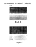 NANOSTRUCTURE AND METHOD FOR MANUFACTURING THE SAME diagram and image