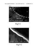 NANOSTRUCTURE AND METHOD FOR MANUFACTURING THE SAME diagram and image