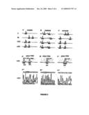 Non-Invasive, Prenatal, In-Vitro Method for Detecting the Normal Healthy Condition, the Condition of a Healthy Carrier or the Condition of a Carrier Inflicted with Cystic Fibrosis diagram and image