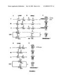 Non-Invasive, Prenatal, In-Vitro Method for Detecting the Normal Healthy Condition, the Condition of a Healthy Carrier or the Condition of a Carrier Inflicted with Cystic Fibrosis diagram and image