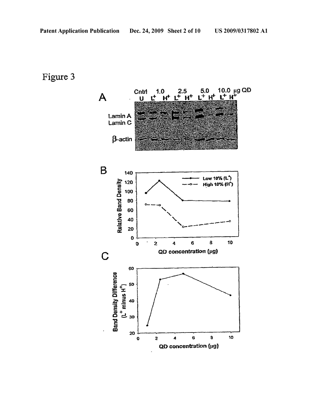 Compositions and Methods to Monitor RNA Delivery to Cells - diagram, schematic, and image 03