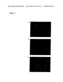 Diagnostic Kits to Detect SP22 and SP22 Antibodies diagram and image