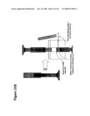 Diagnostic Kits to Detect SP22 and SP22 Antibodies diagram and image