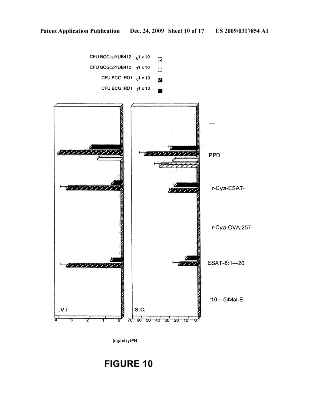 Recombinant adenylate cyclase of BORDETELLA SP. for diagnostic and immunomonitoring uses, method of diagnosing or immunomonitoring using said recombinant adenylate cyclase, and kit for diagnosing or immunomonitoring comprising said recombinant adenylate cyclase - diagram, schematic, and image 11