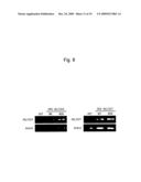 USE OF ACTIVE CYTOKININ SYNTHASE GENE diagram and image