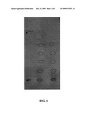 BACILLUS LICHENIFORMIS B1, ALKALOPHILIC ENZYME SOLUTION AND METHOD OF PRODUCING THE SAME diagram and image