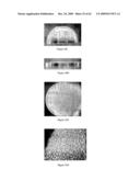 Design, synthesis and assembly of synthetic nucleic acids diagram and image