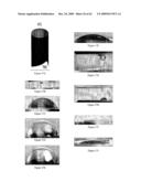 Design, synthesis and assembly of synthetic nucleic acids diagram and image