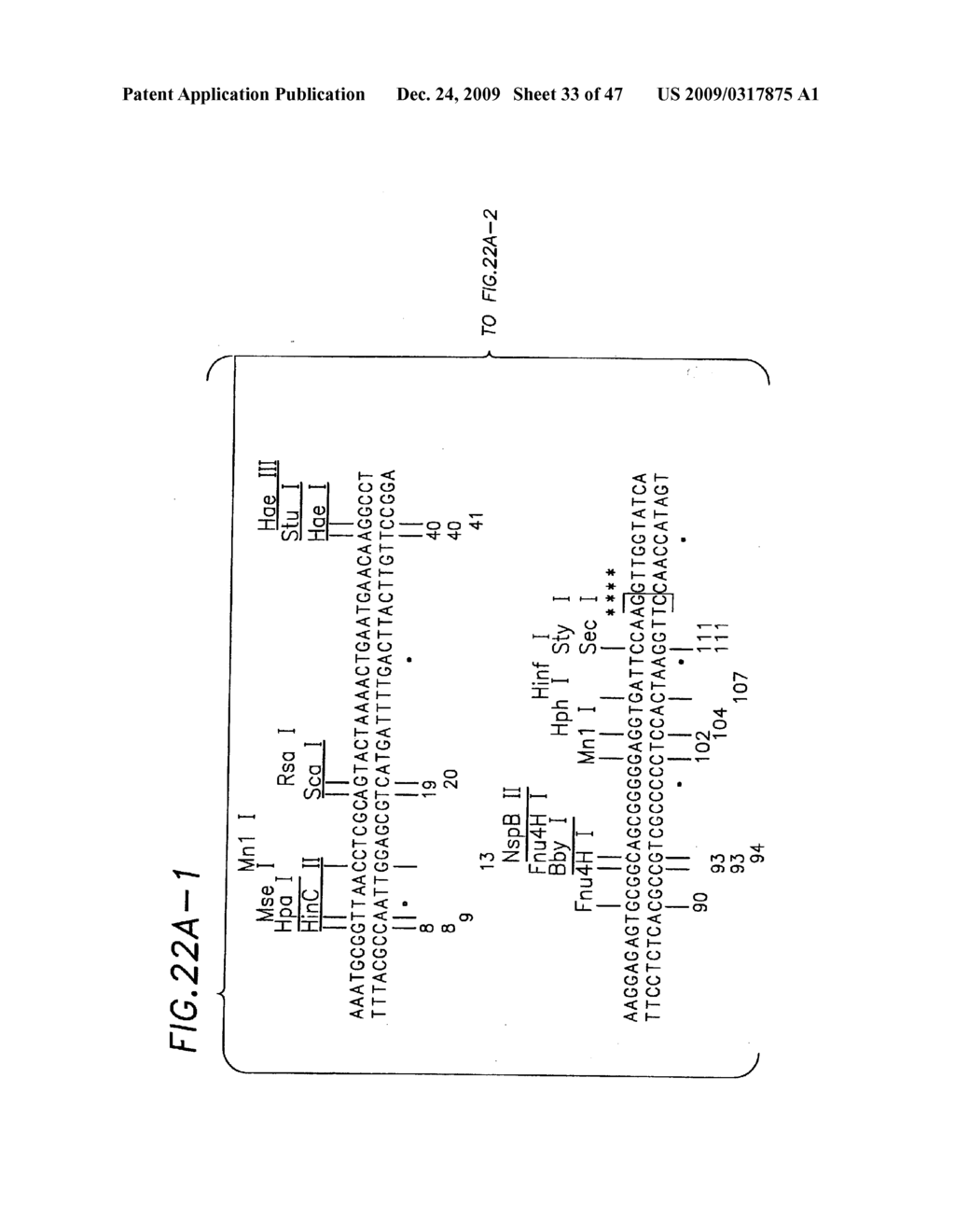 NUCLEIC ACID CLONING - diagram, schematic, and image 34