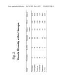 THERMUS EGERTSSONII DNA POLYMERASES diagram and image