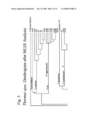 THERMUS EGERTSSONII DNA POLYMERASES diagram and image