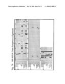 THERMUS EGERTSSONII DNA POLYMERASES diagram and image