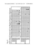 THERMUS EGERTSSONII DNA POLYMERASES diagram and image