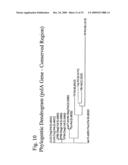 THERMUS EGERTSSONII DNA POLYMERASES diagram and image