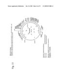 THERMUS EGERTSSONII DNA POLYMERASES diagram and image