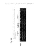 THERMUS EGERTSSONII DNA POLYMERASES diagram and image