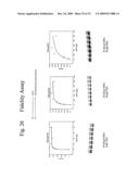 THERMUS EGERTSSONII DNA POLYMERASES diagram and image