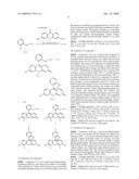 FLUORESCENT PROBE diagram and image