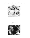 EXHAUST GAS PURIFYING CATALYST diagram and image