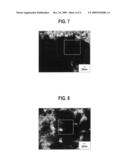 EXHAUST GAS PURIFYING CATALYST diagram and image