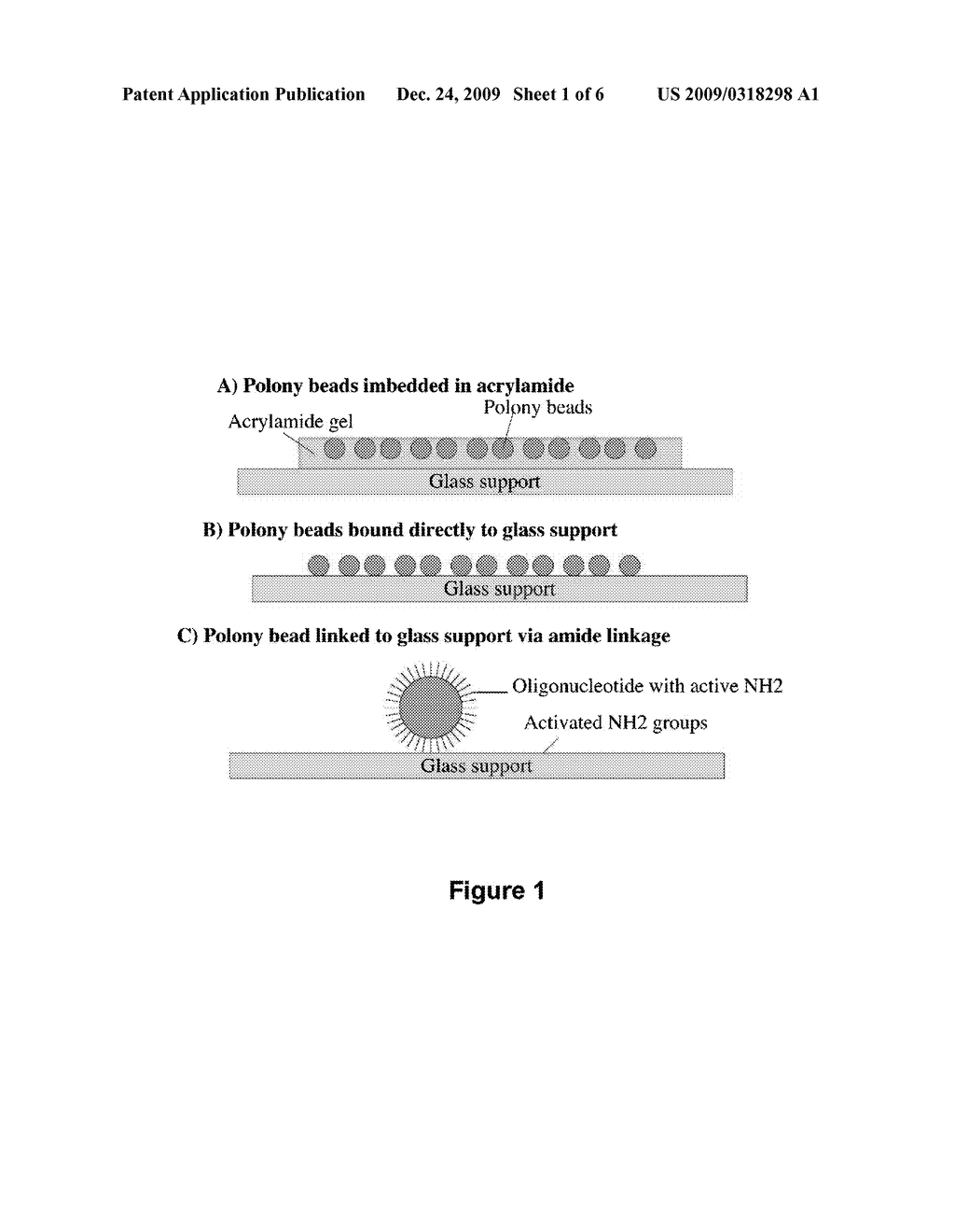 Methods for Sequencing DNA - diagram, schematic, and image 02