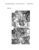 Use of SH2 STAT3/STAT1 Peptidomimetics as Anticancer Drugs diagram and image