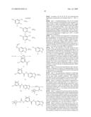 HETEROARYL DERIVATIVES AS PROTEIN KINASE INHIBITORS diagram and image