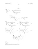 THERAPEUTIC LACTAMS diagram and image