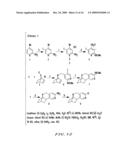 COMPOUNDS AND METHODS FOR PROMOTING SMOKING CESSATION diagram and image