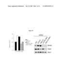 BETA -TrCP1, BETA -TrCP2 AND RSK1 OR RSK2 INHIBITORS AND METHODS FOR SENSITIZING TARGET CELLS TO APOPTOSIS diagram and image