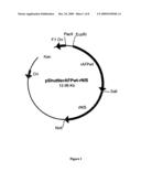 NUCLEIC ACIDS FOR EXPRESSING A POLYNUCLEOTIDE OF INTEREST IN MAMMALIAN CANCER CELLS diagram and image