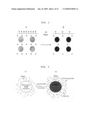 METHOD FOR PRODUCING MICROSPHERES LOADED WITH DRUGS AND MICROSPHERES LOADED WITH DRUGS PRODUCED THEREBY diagram and image