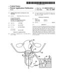 FIBROID TREATMENT APPARATUS AND METHOD diagram and image