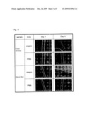 SPINNING SOLUTION COMPOSITION, PROCESS FOR PRODUCING REGENERATED SILK FIBER USING THE COMPOSITION, AND REGENERATED SILK FIBER PRODUCED BY THE PROCESS diagram and image