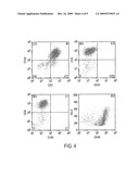 METHOD FOR ENDOTHELIAL CELL EXTRACTION FROM ADISPOSE TISSUES diagram and image