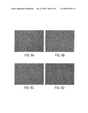 METHOD FOR ENDOTHELIAL CELL EXTRACTION FROM ADISPOSE TISSUES diagram and image