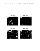 BIOMATERIALS, THEIR PREPARATION AND USE diagram and image