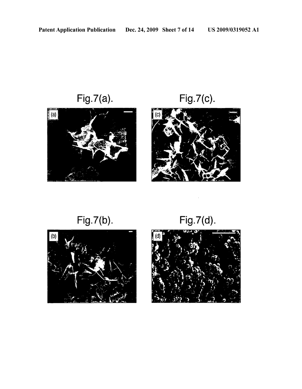 BIOMATERIALS, THEIR PREPARATION AND USE - diagram, schematic, and image 08