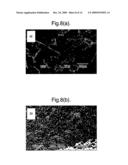 BIOMATERIALS, THEIR PREPARATION AND USE diagram and image