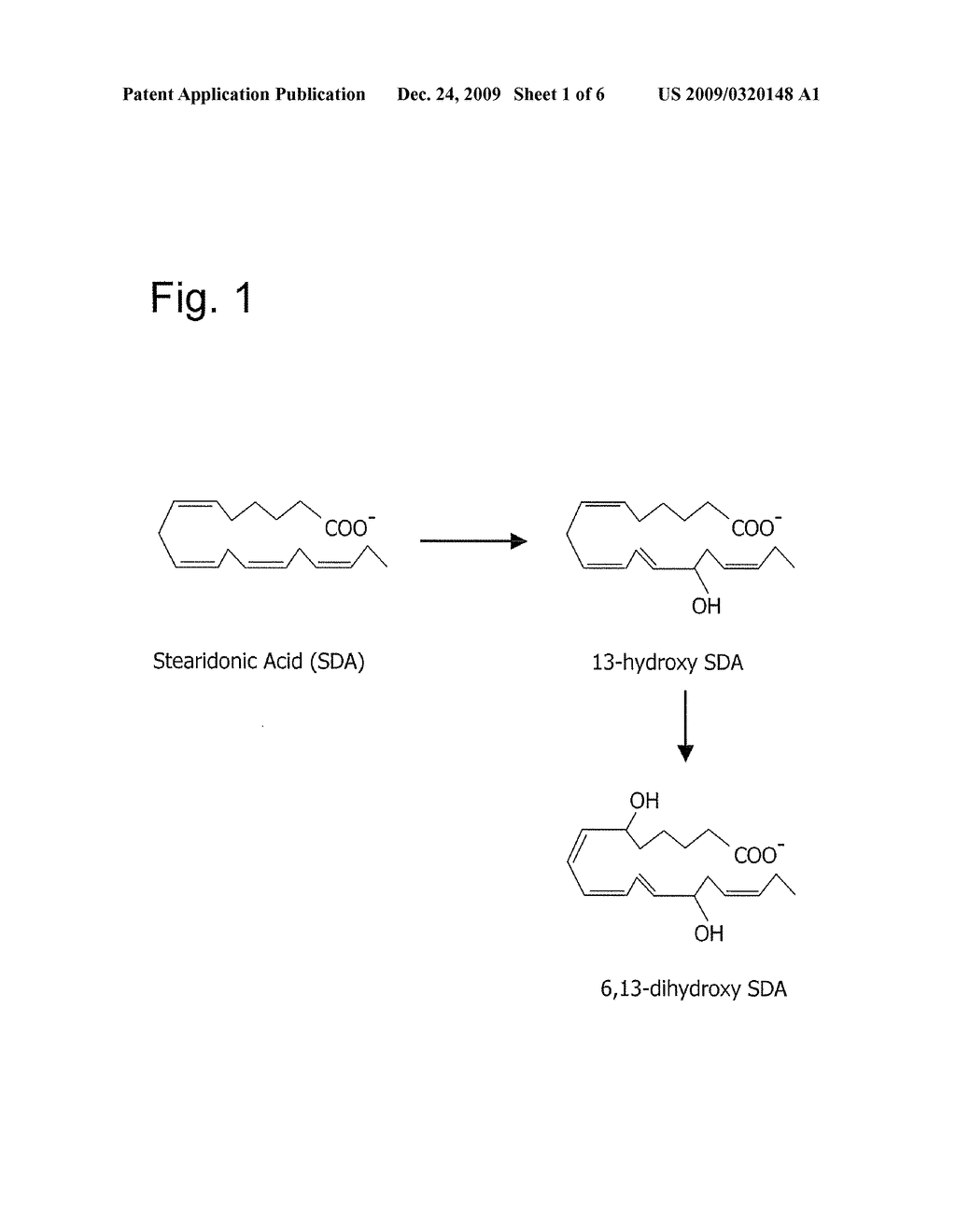 OXYLIPINS FROM STEARIDONIC ACID AND GAMMA-LINOLENIC ACID AND METHODS OF MAKING AND USING THE SAME - diagram, schematic, and image 02