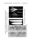 METHODS FOR IMPROVING CROP PLANT ARCHITECTURE AND YIELD diagram and image