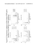 METHODS FOR IMPROVING CROP PLANT ARCHITECTURE AND YIELD diagram and image